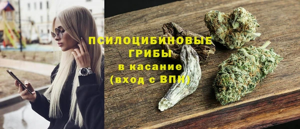 прущий лед Арсеньев